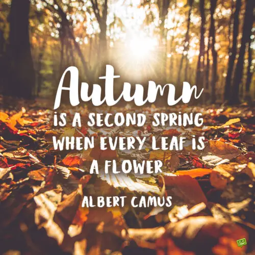 Albert Camus quote you can use as an autumn caption.