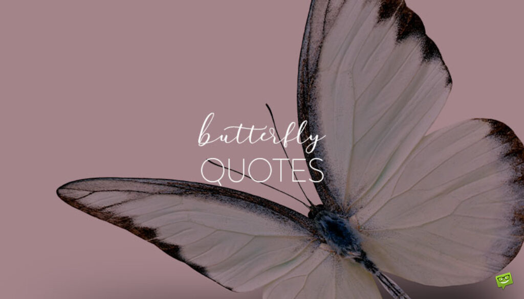 Butterfly Quotes.
