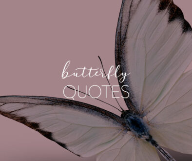 Butterfly Quotes.