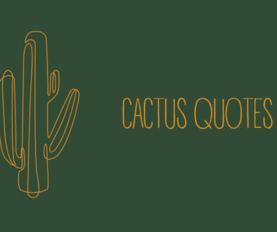 Cactus Quotes.