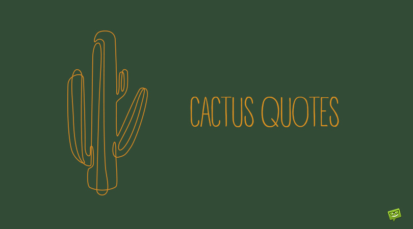Cactus Quotes.