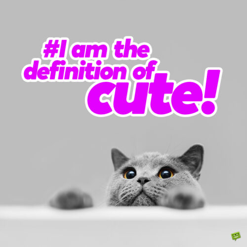 Cute cat caption for your photo posts.