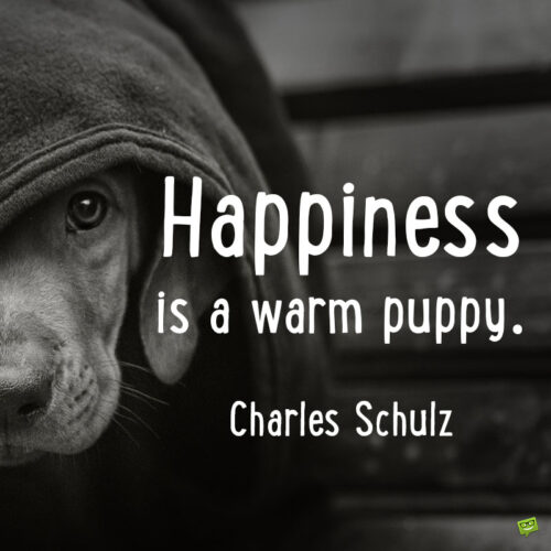 Dog adoption quote to note and share.