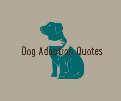 Dog Adoption Quotes.