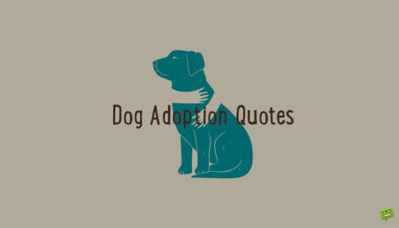 Dog Adoption Quotes.