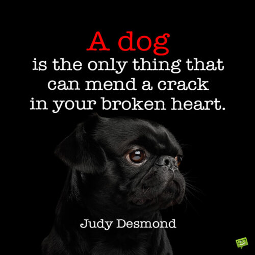 Dog quote to note and share.