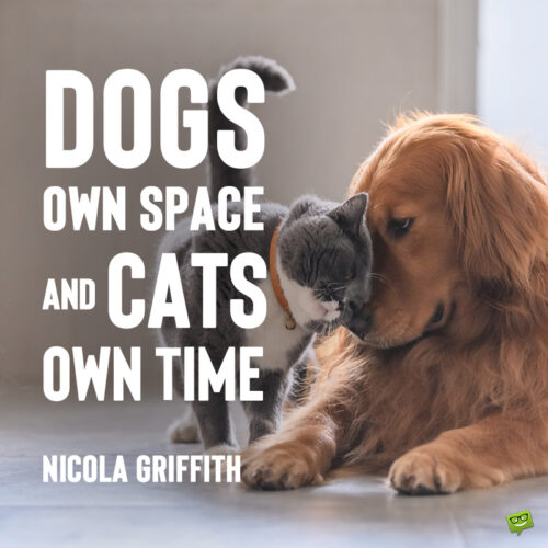 Cats and dogs quote to note and share.