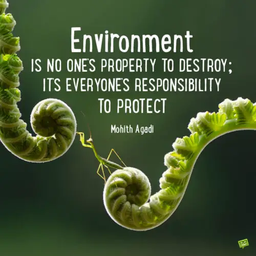 Quote to motivate the protection of the environment.