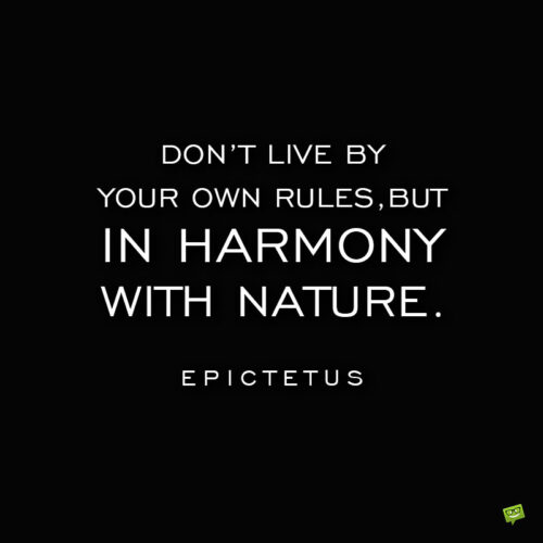 Epictetus life quote to note and share.