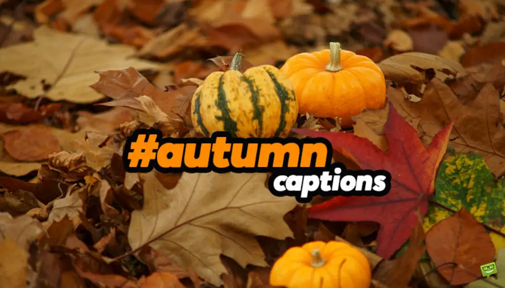 Autumn captions.