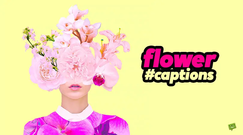 Flower Captions.