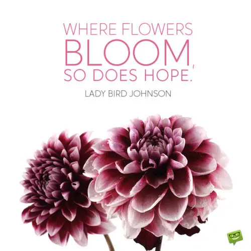 Flower quote for inspiration.