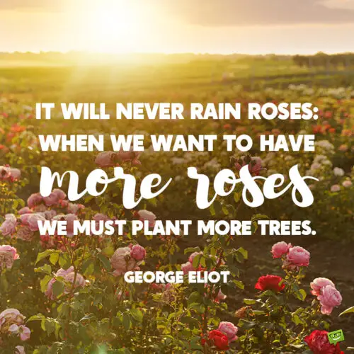 Garden quote to note and share.