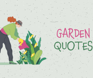 Garden Quotes.