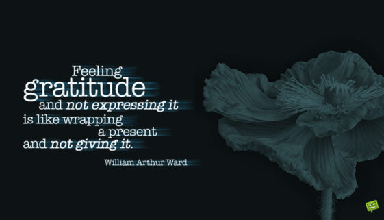 Gratitude quotes.