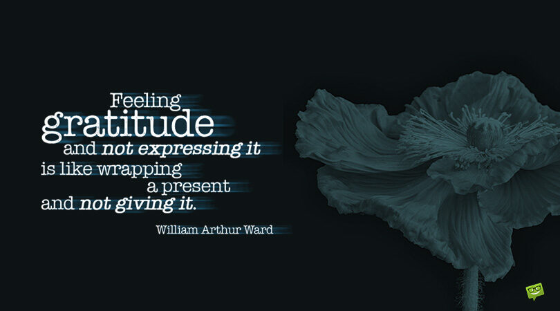 120 Gratitude Quotes As a Source of Inspiration