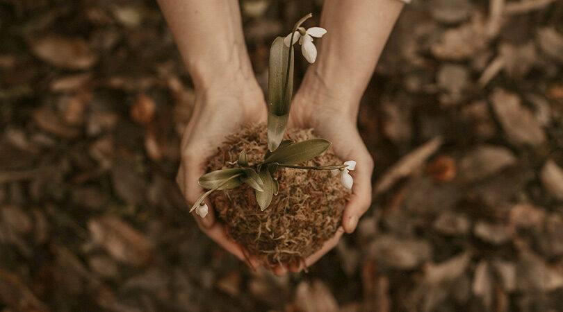 70 Growth Quotes to Inspire a Better and Happier Life