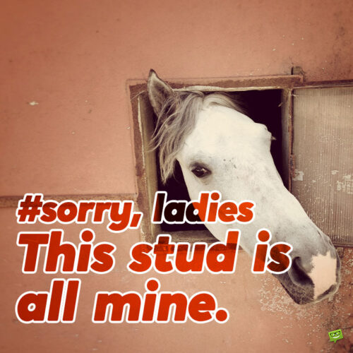 Funny horse caption for your photo posts.