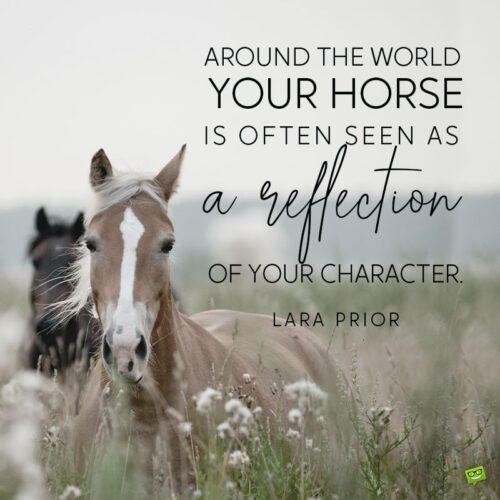 Horse quote to note and share.