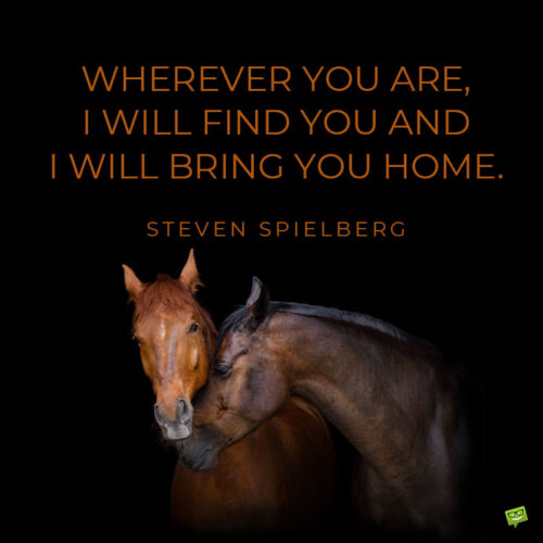 Horse quote to note and share.