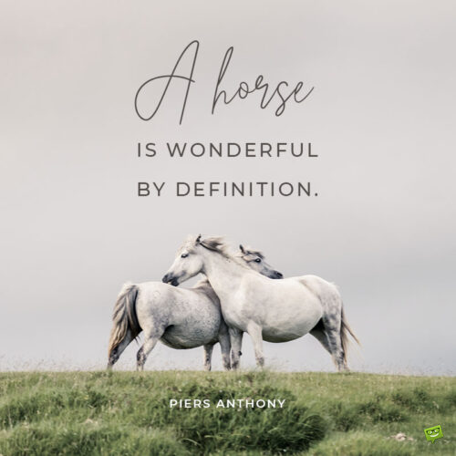 Horse quote to note and share.