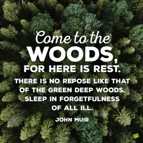 John Muir quote about the woods to give you food for thought.