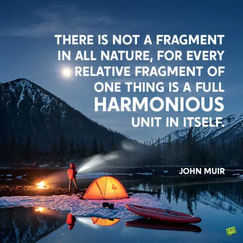 John Muir quote about nature to give you food for thought.