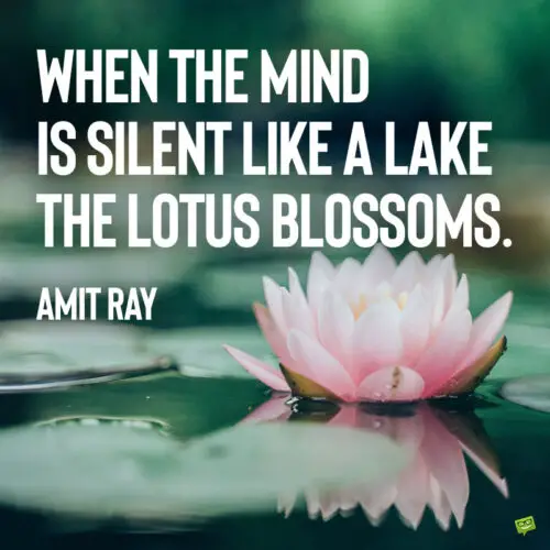 Lake quote about meditation on image with lotus flower.