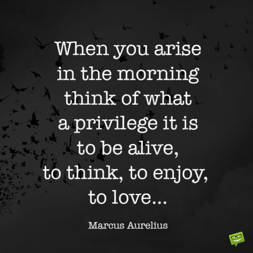 Marcus Aurelius Quote about life and love to make you appreciate all the importan things.