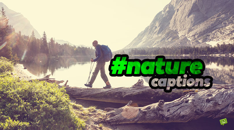 40 Nature Captions for Your Connection With the Environment