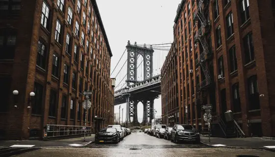 new-york-quotes-social
