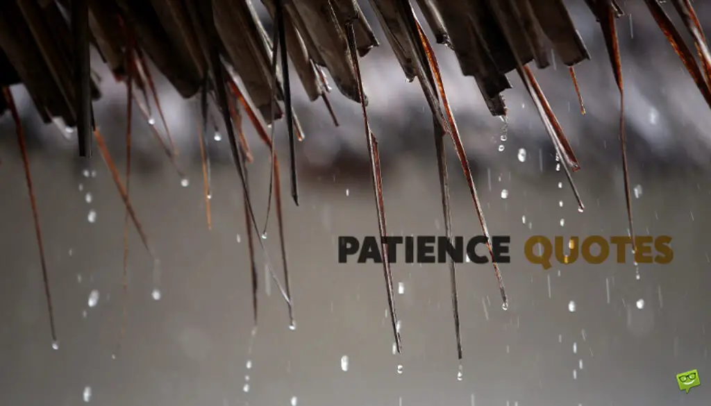 Patience quotes.