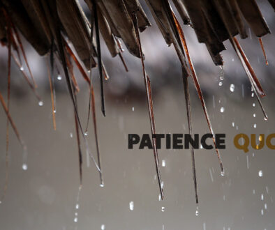 Patience quotes.