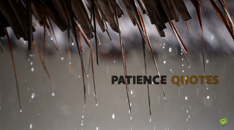 Best 101 Patience Quotes on Those Who Wait