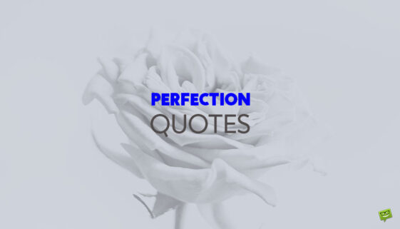 Perfection Quotes.