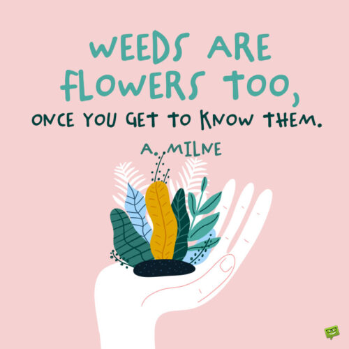 Plant quote to note and share.