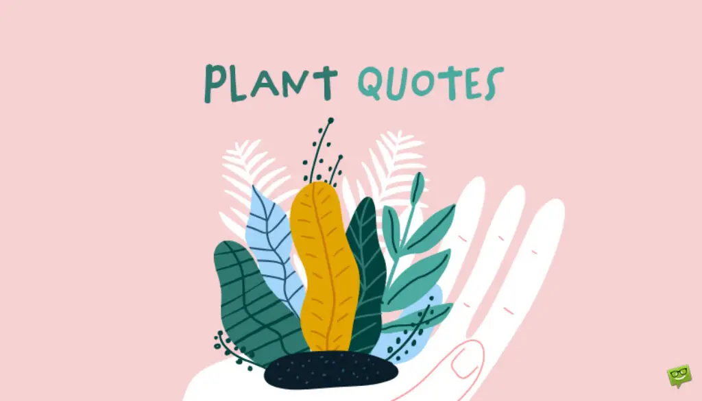 plant quotes.