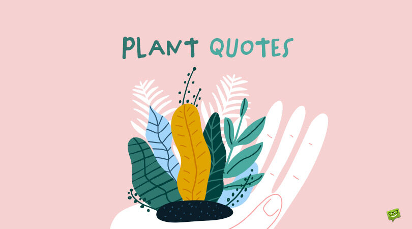 77 Fascinating Plant Quotes that Praise Those Green Friends