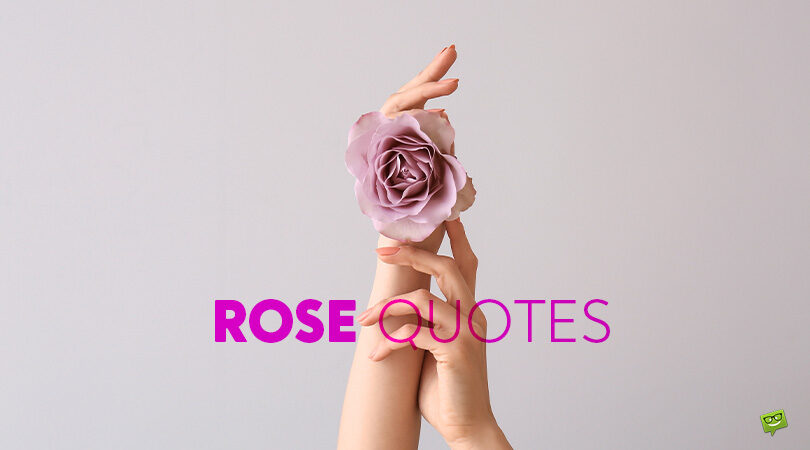 192 Rose Quotes as Symbols of Everything Beautiful and Pure
