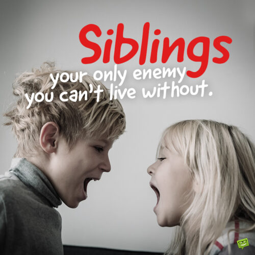 Funny siblings quote on image with two children shouting at each other. | happy.better.wiser. Funny sibling quote.