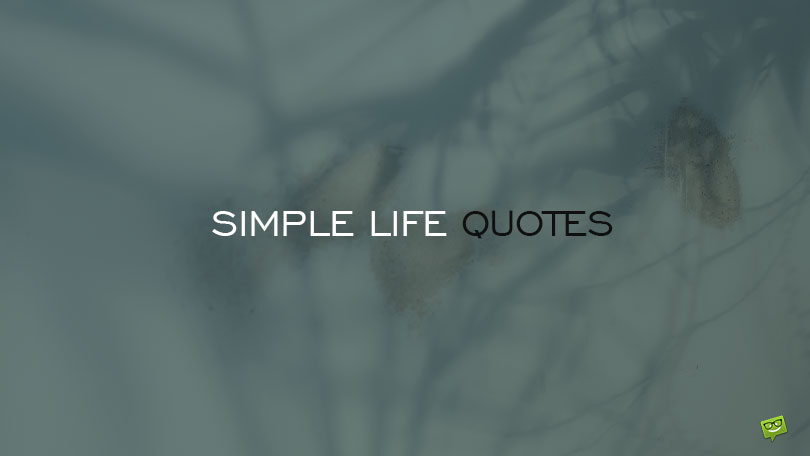 80 Simple Life Quotes to Make Everything Less Complicated