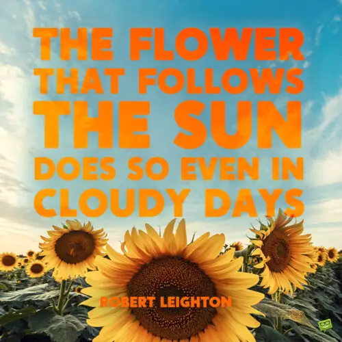 Sunflower quote to note and share.