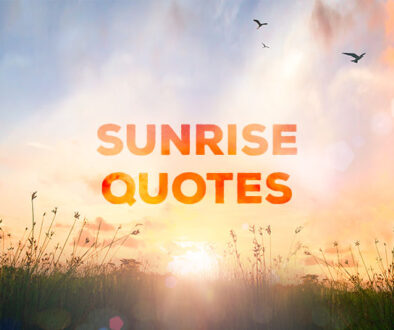 Sunrise Quotes.