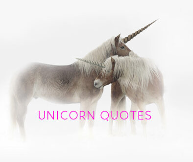 Unicorn Quotes.