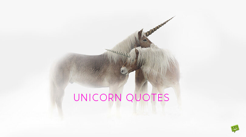 86 Fantastic Unicorn Quotes to Help You Fight Stereotypes