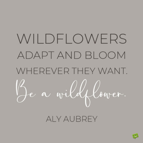 Inspirational wildflower quote to note and share.