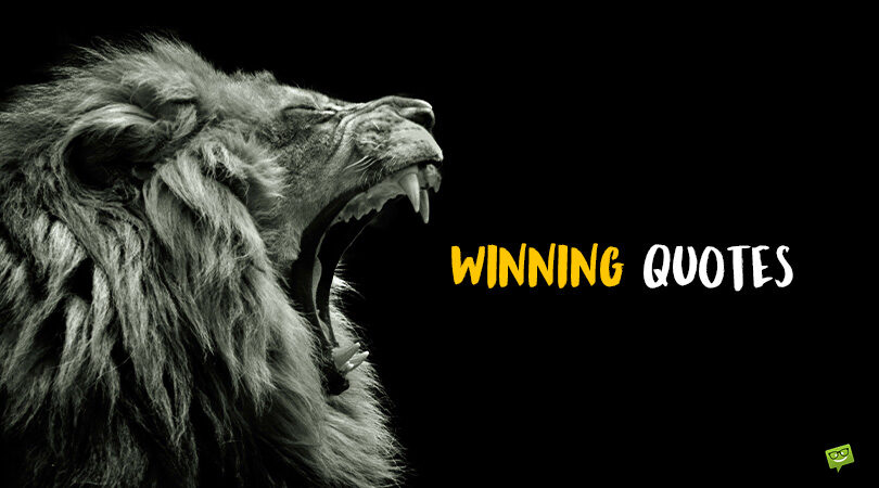 Slow But Steady Wins the Race | 177 Winning Quotes