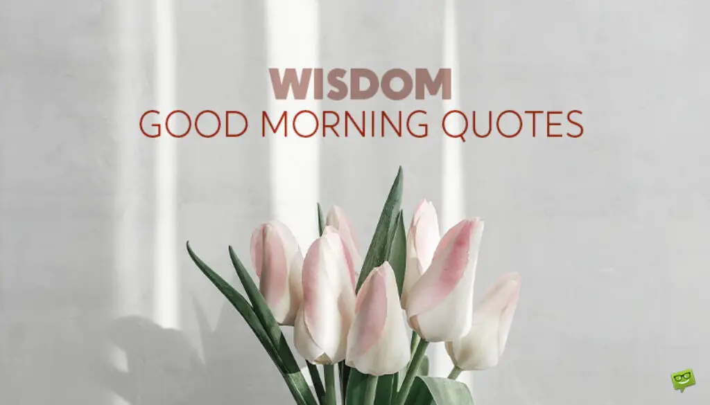 Wisdom Good Morning quotes.