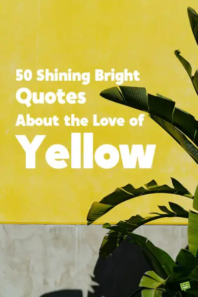 happiness yellow quotes