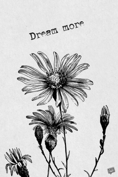 Dream more.
